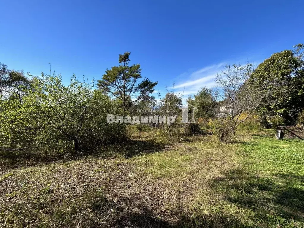 Участок в Приморский край, Партизанский муниципальный округ, Золотое ... - Фото 2