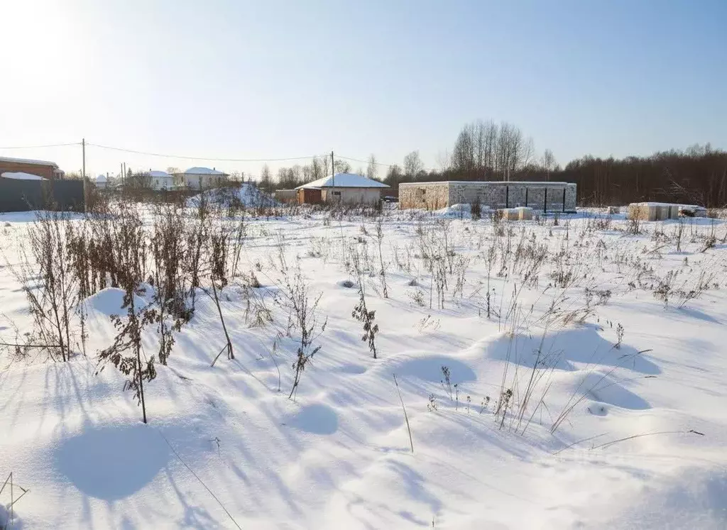 Участок в Московская область, Талдомский городской округ, д. Карманово ... - Фото 1