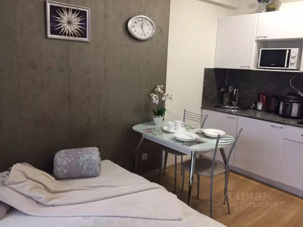 Студия Краснодарский край, Сочи городской округ, Дагомыс пгт ул. ... - Фото 2