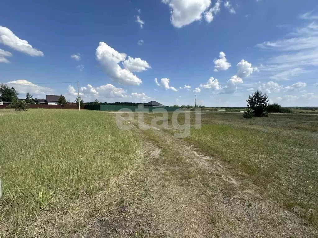 Участок в Брянская область, Брянский район, Новодарковичское с/пос, ... - Фото 1
