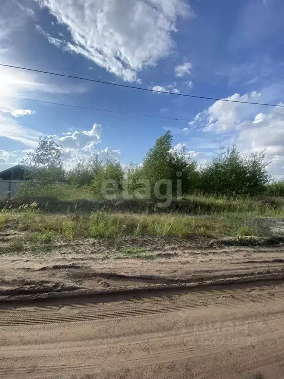 Участок в Воронежская область, Рамонский район, Новоживотинновское ... - Фото 1