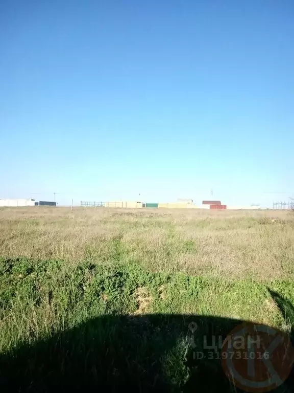 Участок в Крым, Сакский район, Молочненское с/пос, с. Витино ул. ... - Фото 2