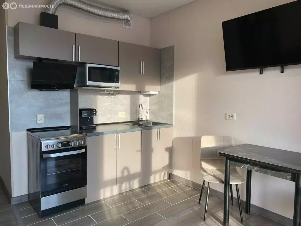 Квартира-студия: посёлок Шушары, Старорусский проспект, 11 (21 м) - Фото 2