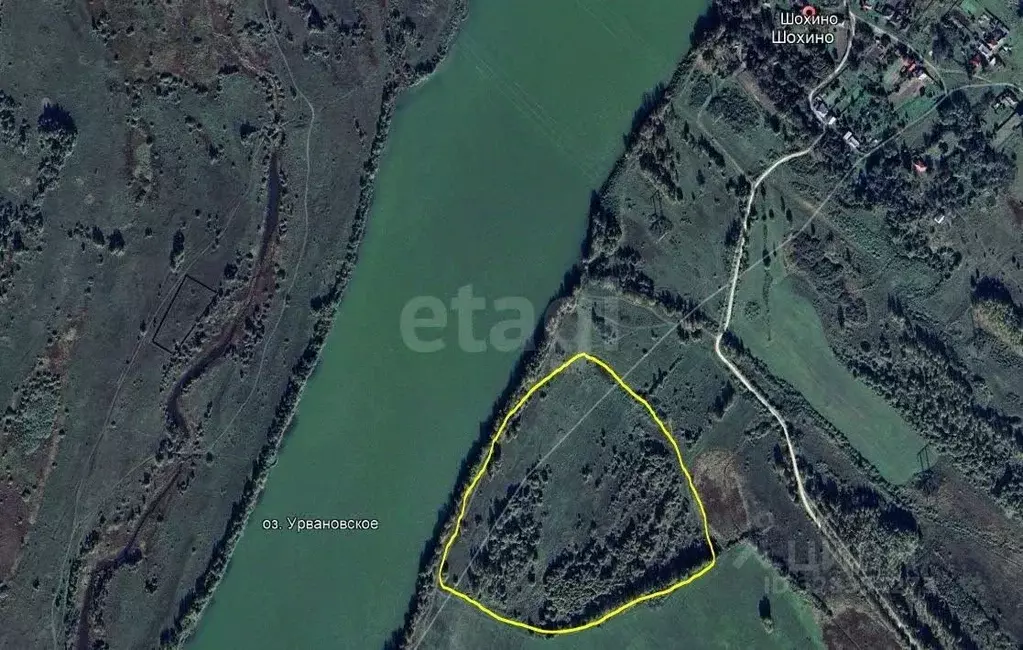 Участок в Владимирская область, Меленковский муниципальный округ, д. ... - Фото 1