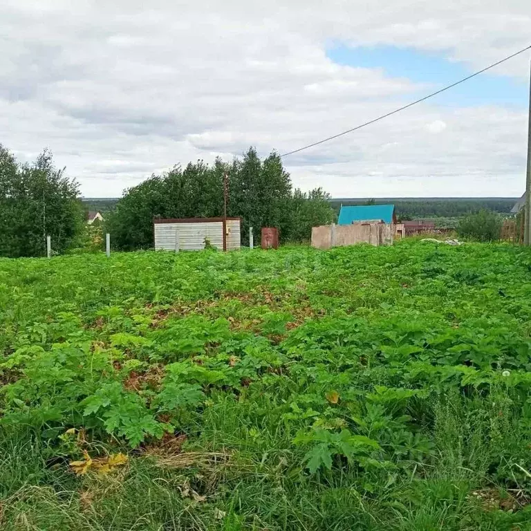 Участок в Коми, Сыктывдинский муниципальный район, Зеленец ... - Фото 2