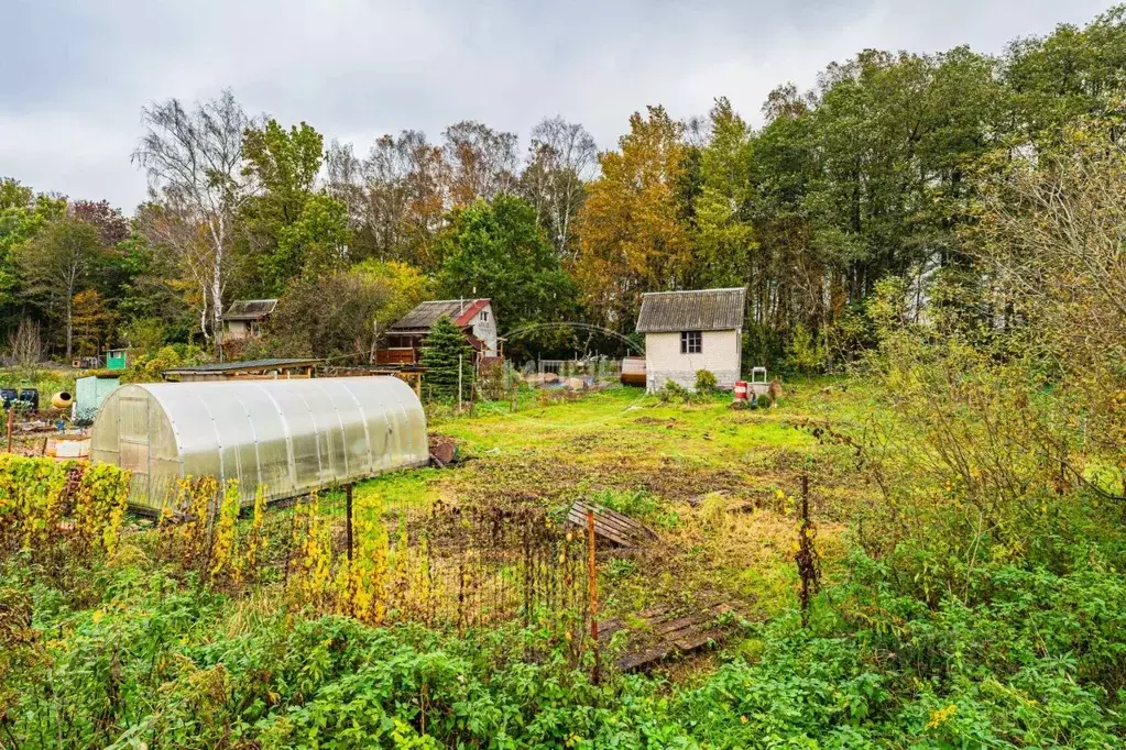 Участок в Калининградская область, Гурьевский муниципальный округ, ... - Фото 1