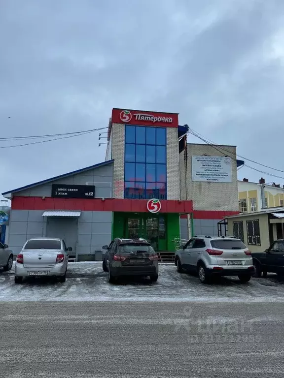 Торговая площадь в Пензенская область, Бессоновский район, с. ... - Фото 1