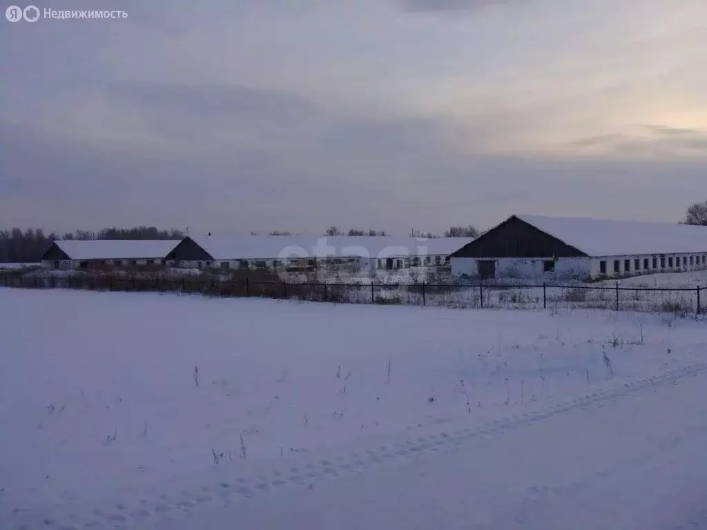 Производственное помещение (40992 м) - Фото 2