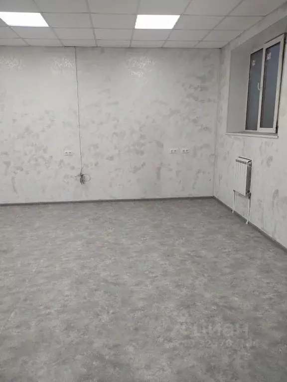 Помещение свободного назначения в Новосибирская область, Новосибирск ... - Фото 2