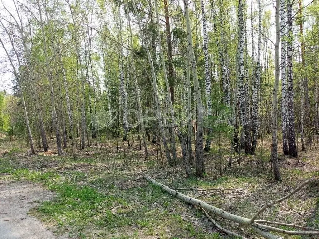 Участок в Тюменская область, Тюмень Войновка мкр,  (15.0 сот.) - Фото 2
