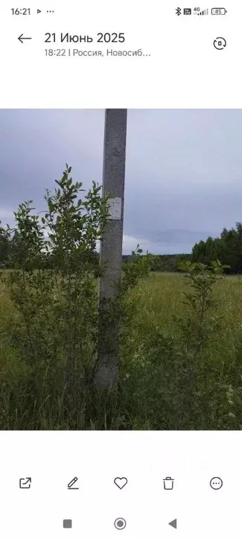 Участок в Новосибирская область, Новосибирский район, Кубовинский ... - Фото 2