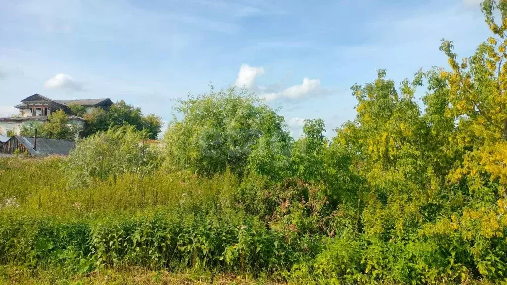 Участок, 5.1 сот., поселения (ижс) - Фото 0