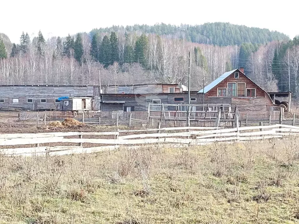 участок в пермский край, чайковский городской округ, д. некрасово ул. . - Фото 1