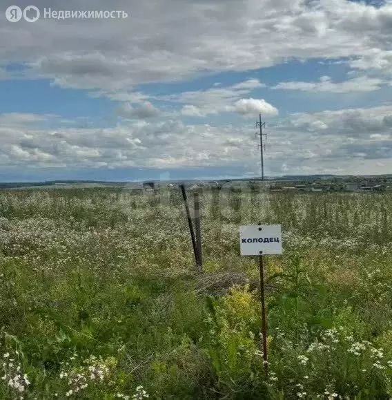 Участок в Пермский муниципальный округ, деревня Болдино, Ореховая ... - Фото 2
