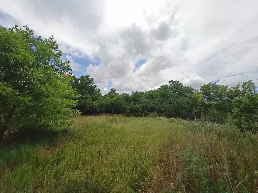 Участок в Краснодарский край, Анапа муниципальный округ, Гостагаевская ... - Фото 2