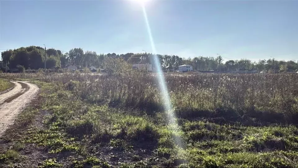 Участок в Московская область, Кашира городской округ, пос. Большое ... - Фото 2