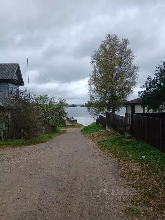 Участок в Новгородская область, Демянский муниципальный округ, с. ... - Фото 1