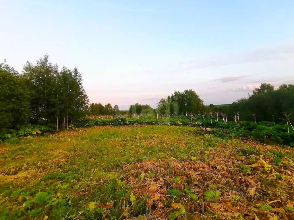 Участок в Коми, Сыктывдинский район, Пажга муниципальное образование, ... - Фото 1