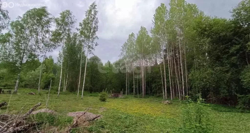 Участок в Вологодский муниципальный округ, СТ Автомобилист (13 м) - Фото 1