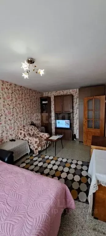 1-к кв. Псковская область, Пыталовский муниципальный округ, пос. ... - Фото 0