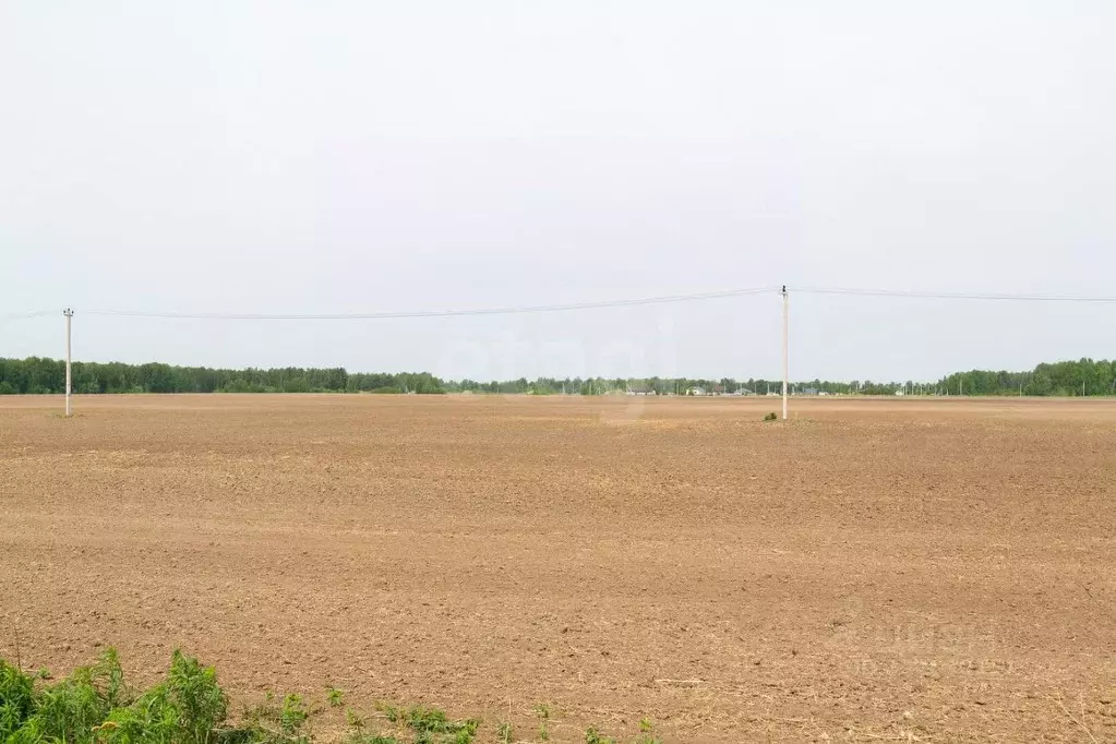 Участок в Тюменская область, Тюменский муниципальный округ, ... - Фото 1