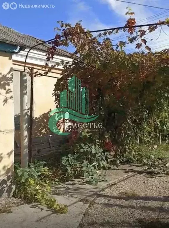 Дом в Яркое Поле, улица Ленина (57 м) - Фото 1