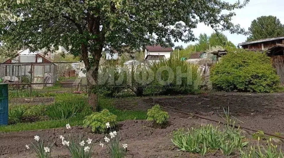 Дом в Новосибирская область, Новосибирск Цветущая Сибирь садовое ... - Фото 1