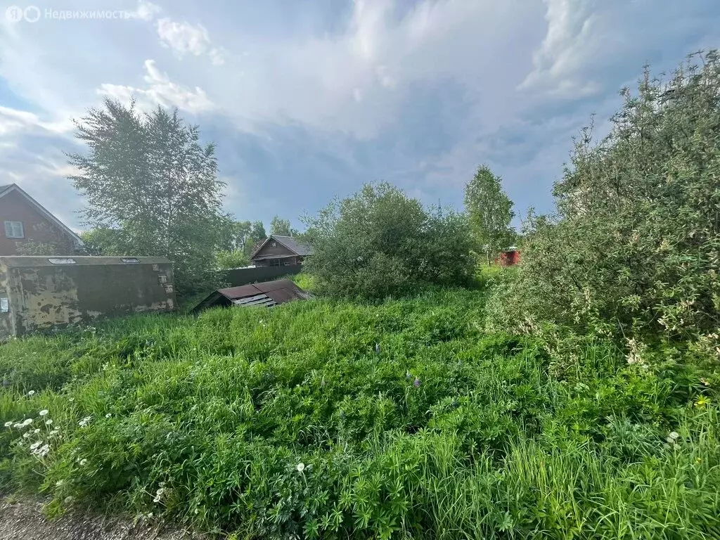 Участок в Сергиево-Посадский городской округ, садовое товарищество ... - Фото 1