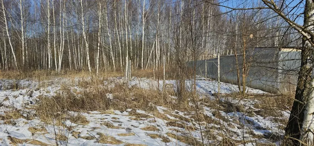 Участок в Московская область, Луховицы ул. Рябиновая (17.15 сот.) - Фото 0