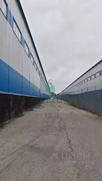Склад в Московская область, Подольск городской округ, с. Сынково, ... - Фото 1