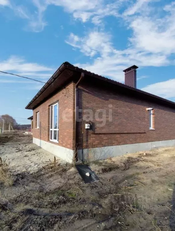 Дом в Воронежская область, Новоусманский район, с. Бабяково Заливной ... - Фото 1