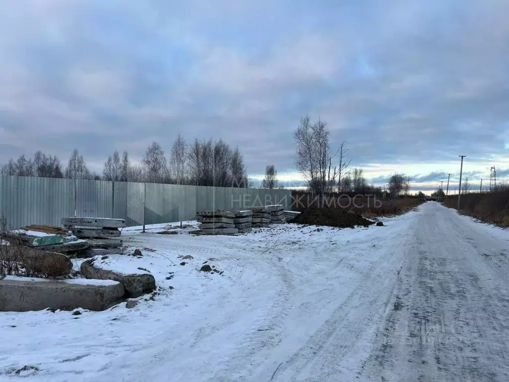 Участок в Тюменская область, Тюмень Березняки СНТ,  (7.22 сот.) - Фото 1