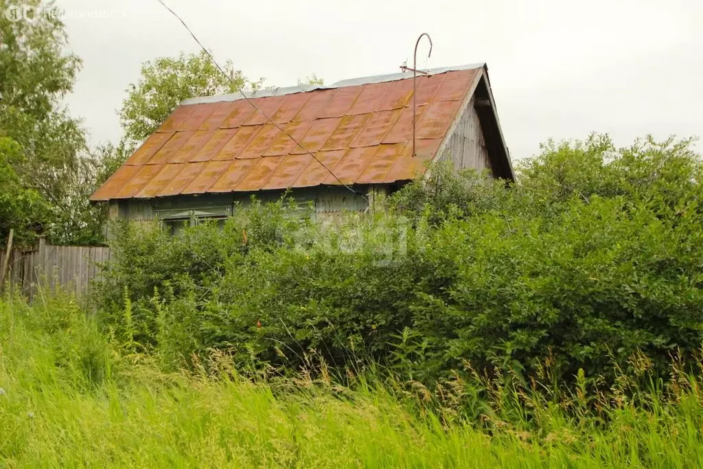 Дом в Тюменская область, Ялуторовский муниципальный округ, деревня ... - Фото 2
