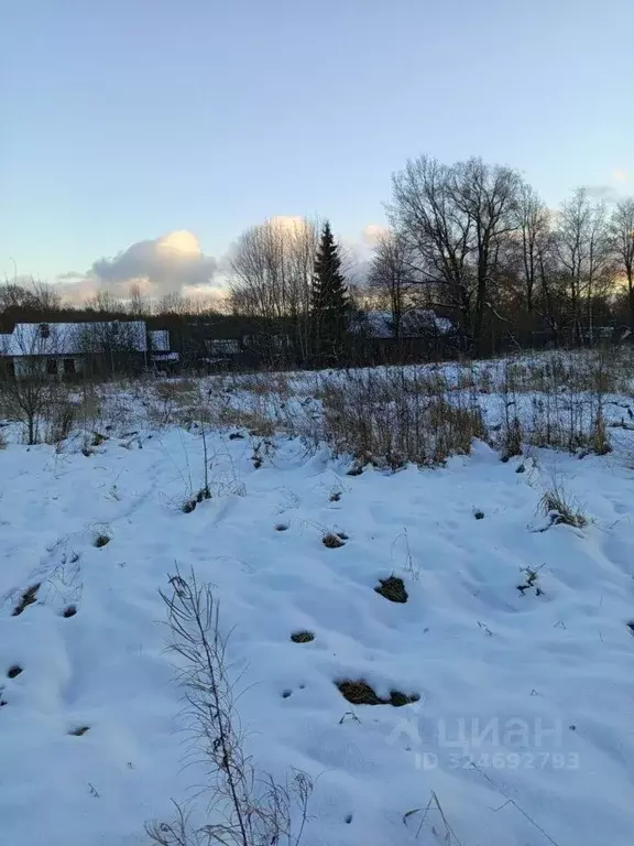 Участок в Ленинградская область, Гатчинский муниципальный округ, с. ... - Фото 2