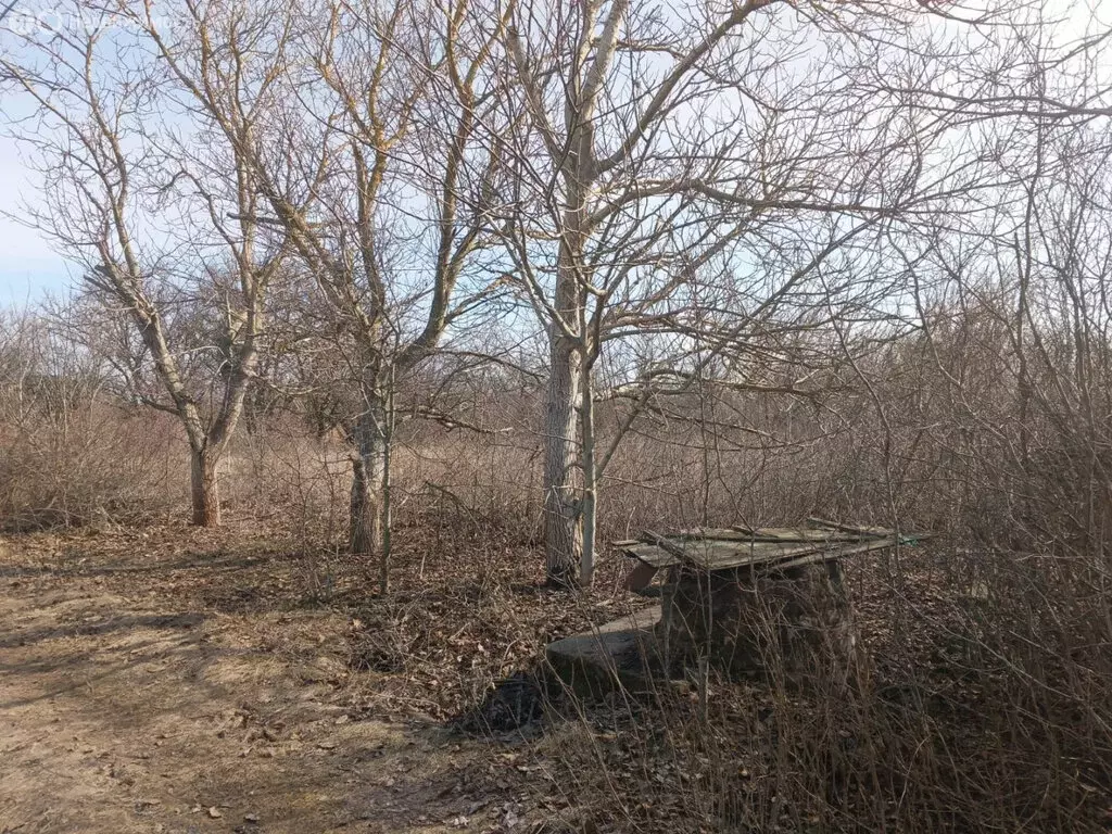Участок в Ейск, СНТ Виктория (5 м) - Фото 1