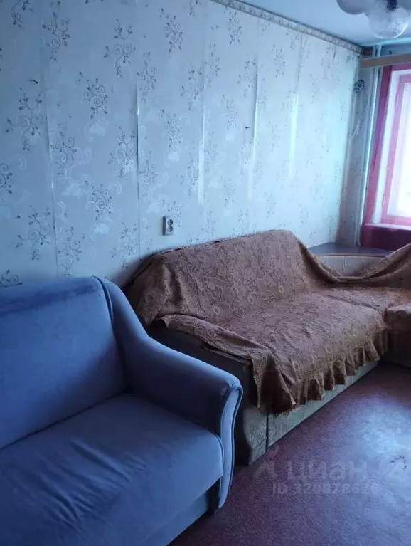 Комната Севастополь ул. Горпищенко, 49 (10.0 м) - Фото 1
