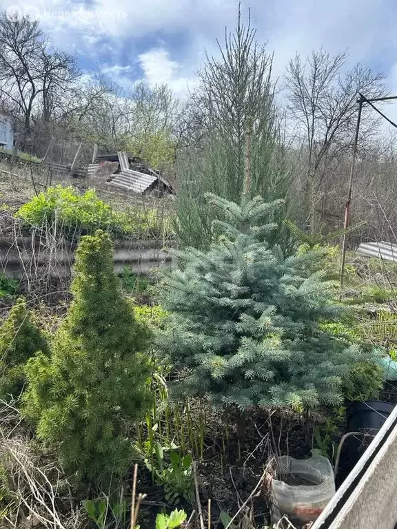 Дом в Белгород, квартал Севка (30 м) - Фото 2