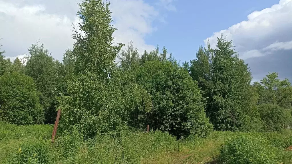 Участок в Нижегородская область, Нижний Новгород Культура с/пос,  ... - Фото 2