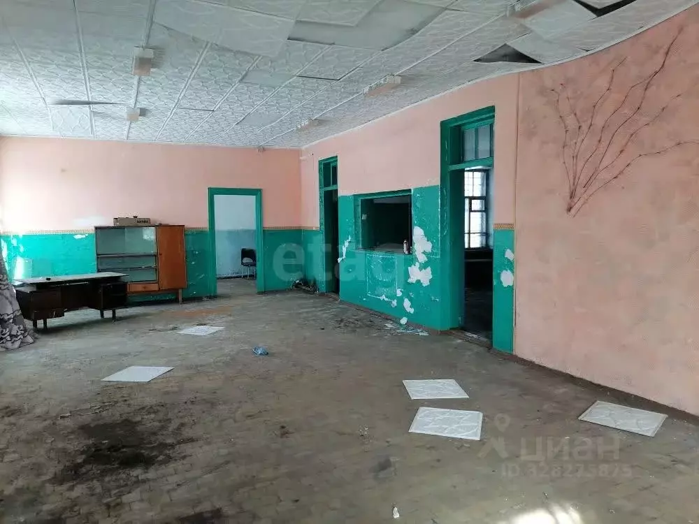 Помещение свободного назначения в Красноярский край, Уяр г. ... - Фото 2