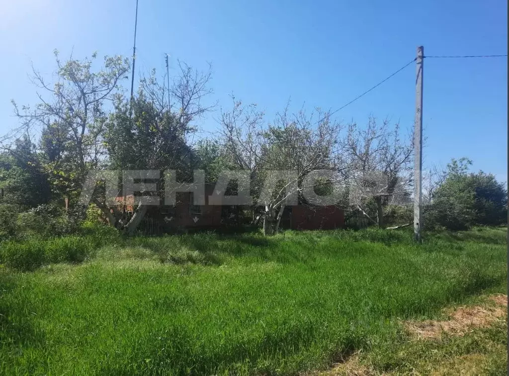 Участок в Краснодарский край, Кущевский район, Кисляковская ст-ца ... - Фото 2