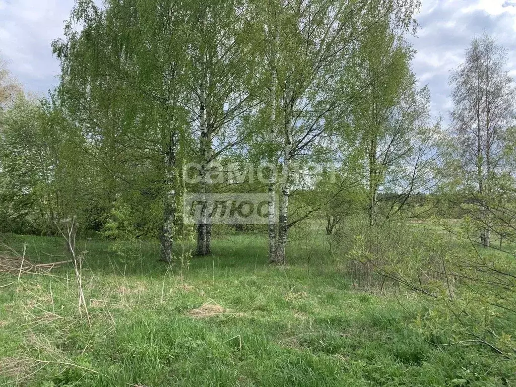 Участок в Вологодская область, д. Хреново (Октябрьский сельсовет)  ... - Фото 1