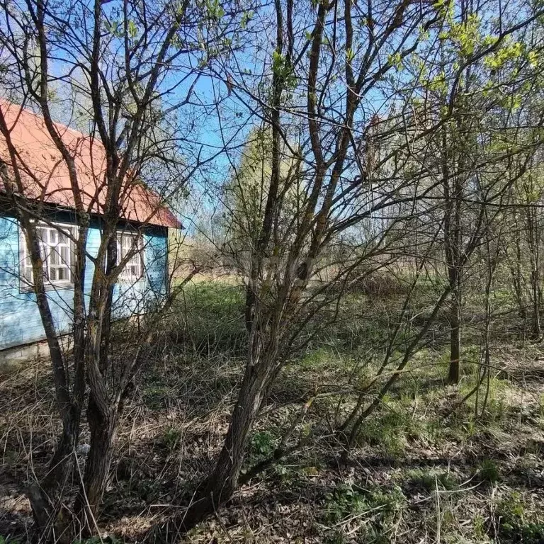 Дом в Вологодская область, Вологда Сохатый садоводческое товарищество, ... - Фото 2