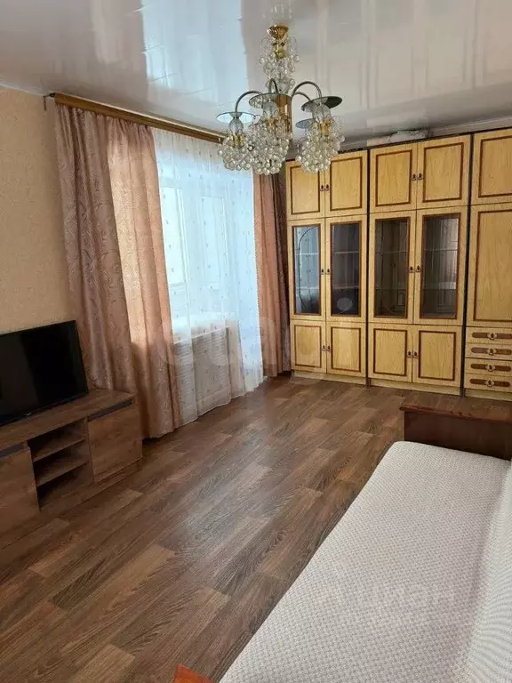 1-к кв. Брянская область, Брянск ул. Докучаева, 13 (31.5 м) - Фото 2