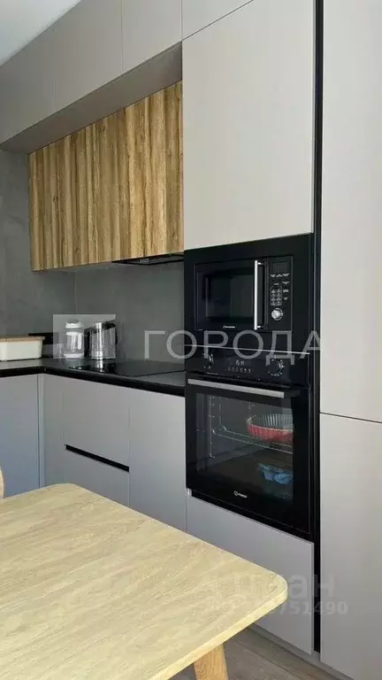 3-к кв. Новосибирская область, Новосибирск ул. Чаплыгина, 98А (83.0 м) - Фото 1