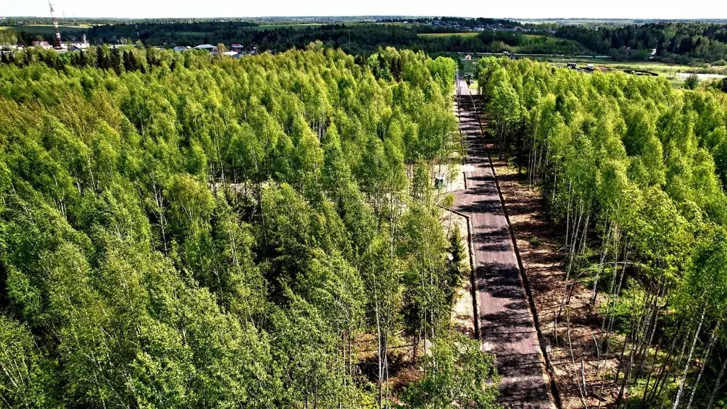 Участок в Московская область, Дмитровский муниципальный округ, пос. ... - Фото 2