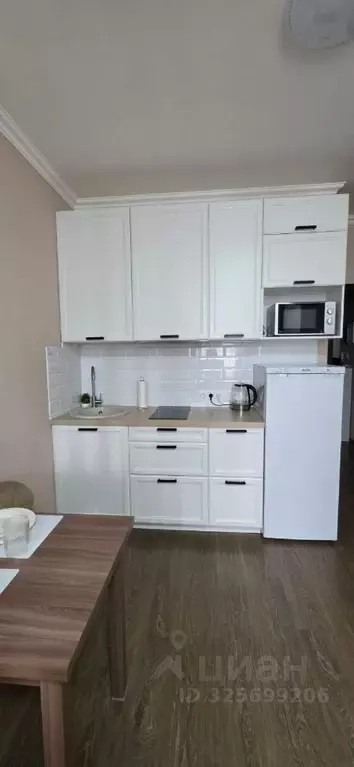 Студия Санкт-Петербург аллея Арцеуловская, 23к1 (25.0 м) - Фото 1