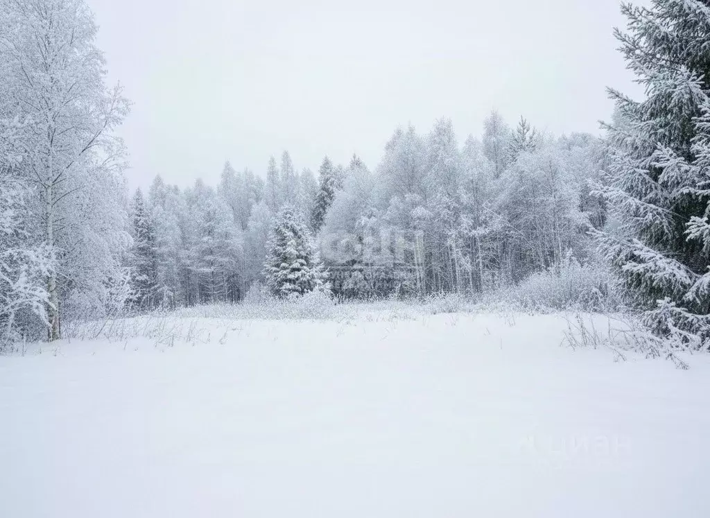 Участок в Карелия, Прионежский район, Нововилговское с/пос, ... - Фото 1