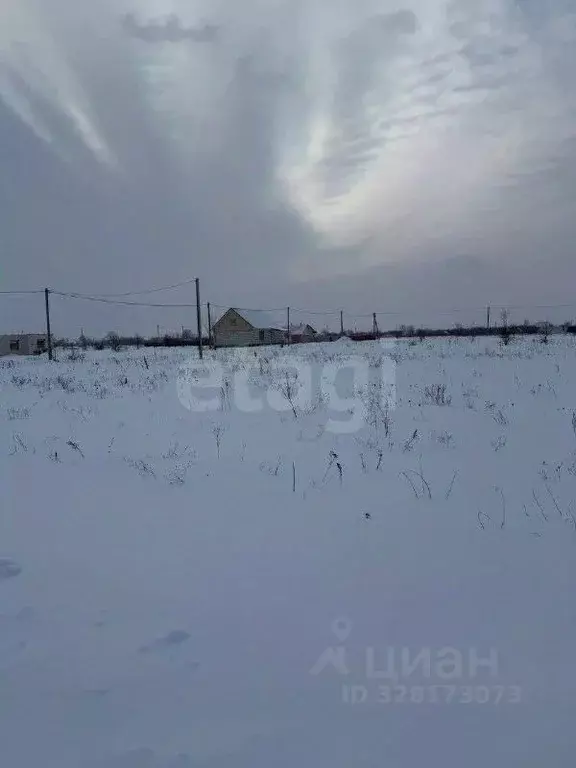 Участок в Воронежская область, Семилукский район, с. Девица ул. ... - Фото 2