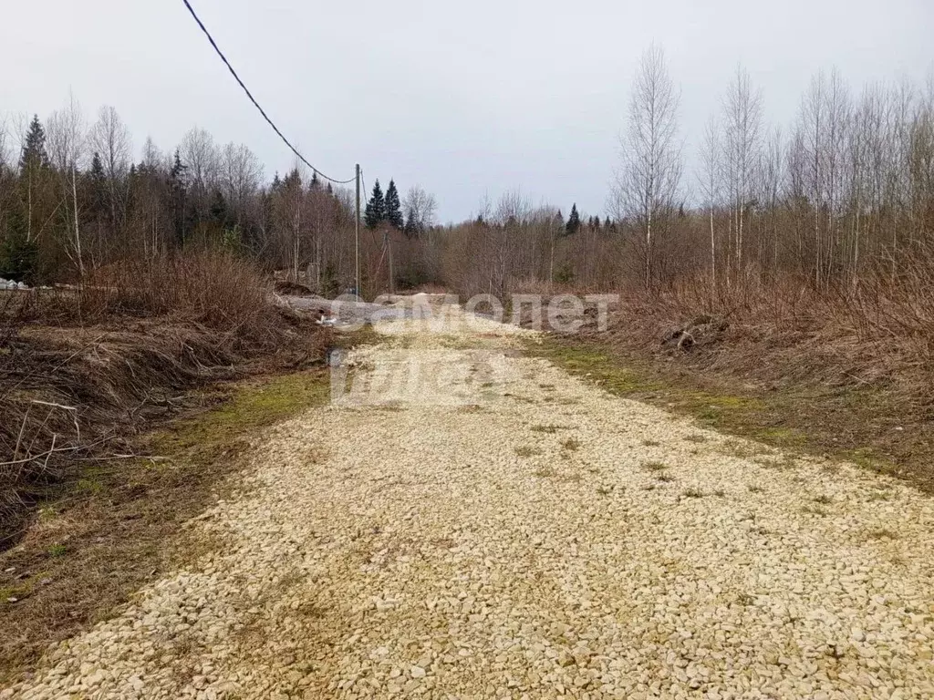 Участок в Ленинградская область, Ломоносовский район, Ропшинское ... - Фото 2