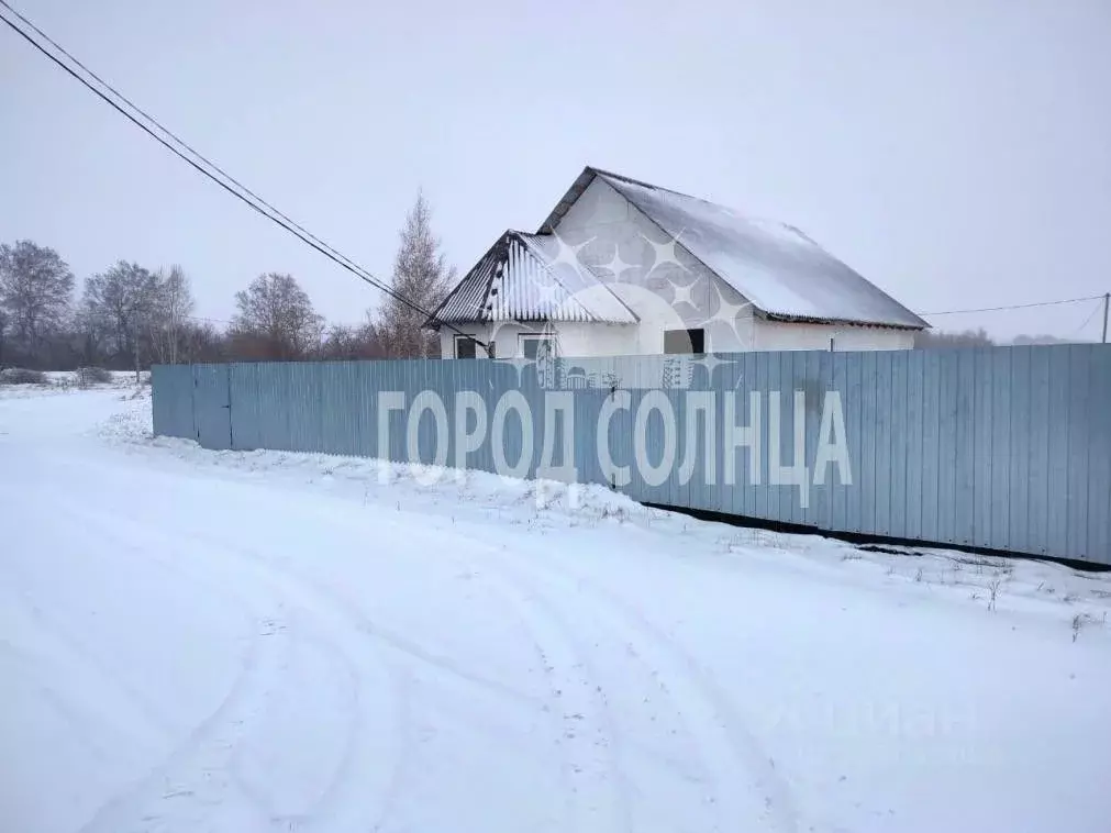 Дом в Омская область, Омский район, с. Андреевка  (97 м) - Фото 1